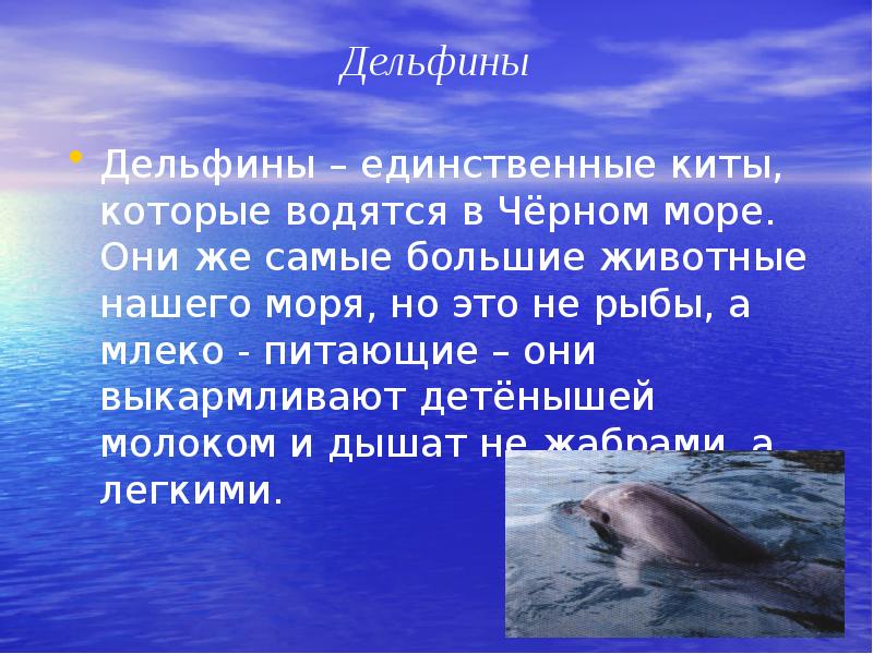 Морская экосистема презентация