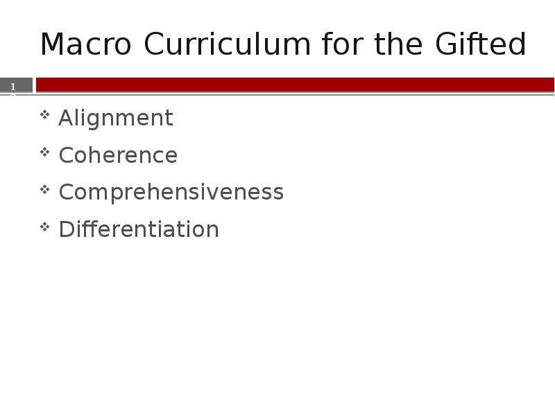 Macro Curriculum for the Gifted