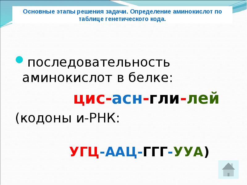 Последовательность аминокислот в белке. АСН-цис-гли.