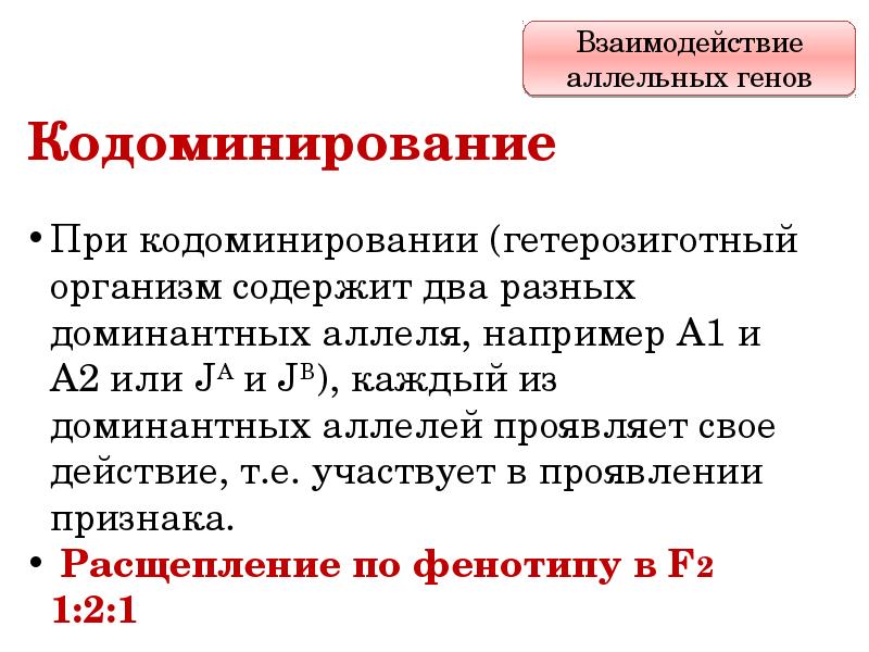 Множественное действие и взаимодействие генов 10 класс презентация