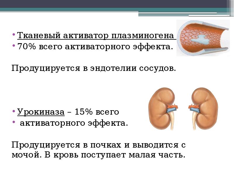 Тканевый активатор плазминогена –  Тканевый активатор плазминогена –  70%