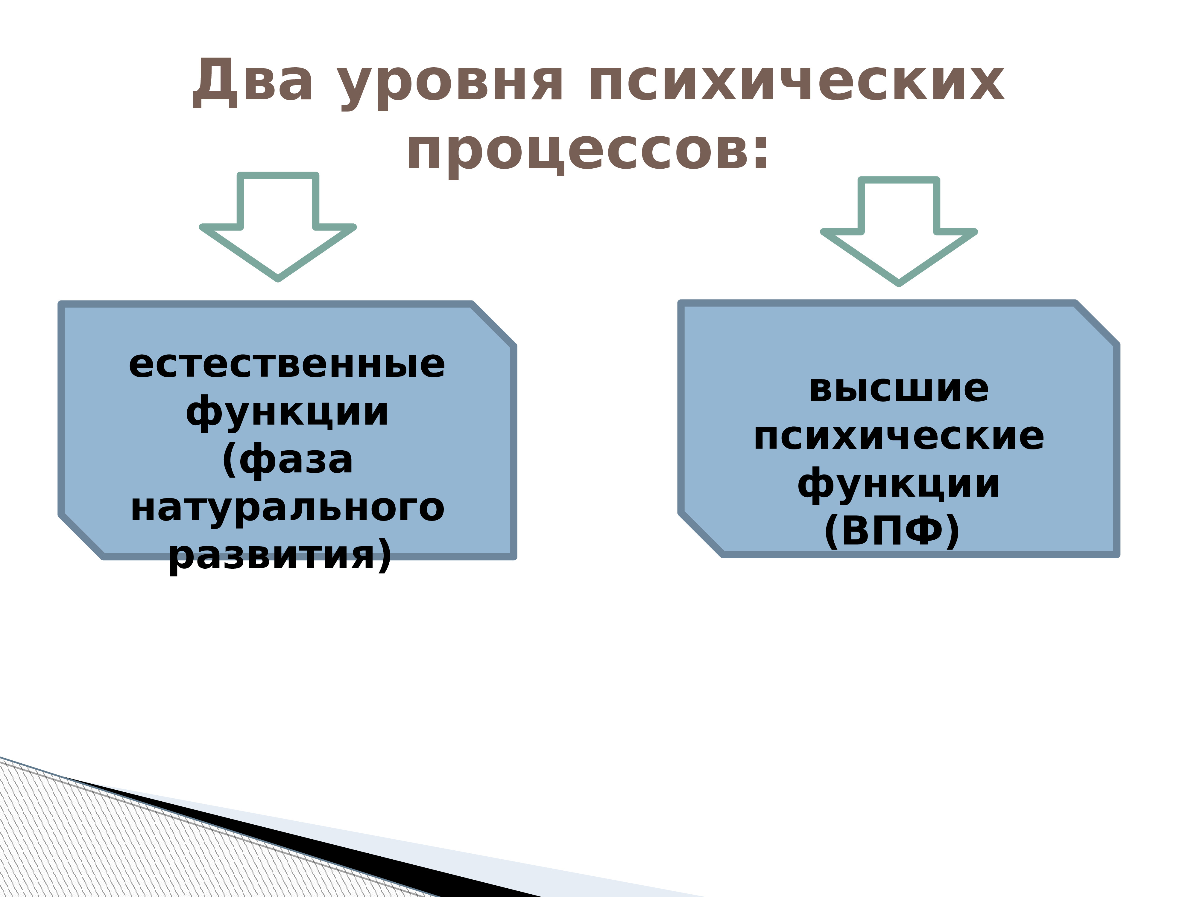 Ключевые понятия в проекте