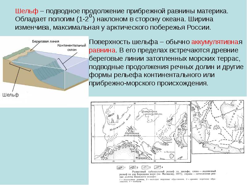 Континентальная суша. Шельф. Шельф мирового океана. Шельф и континентальный склон. Континентальный шельф континентальный склон.