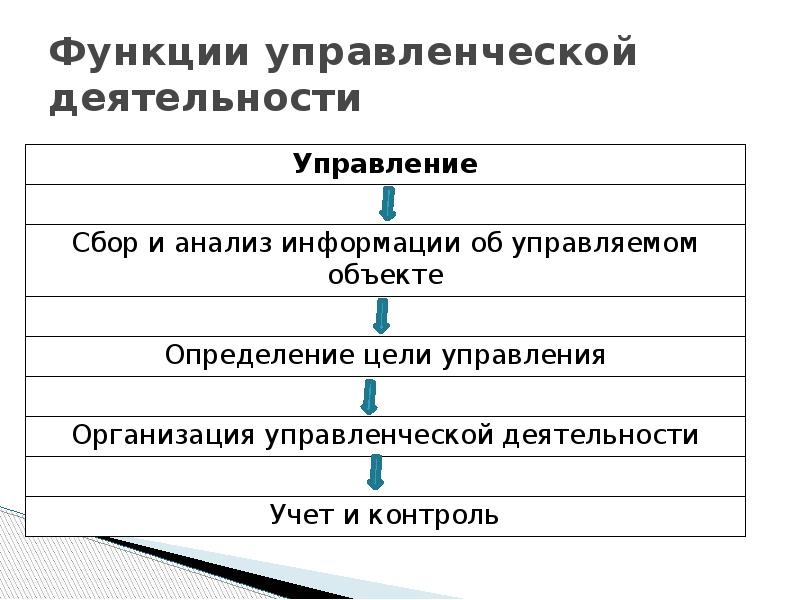 Функция организаторской деятельности