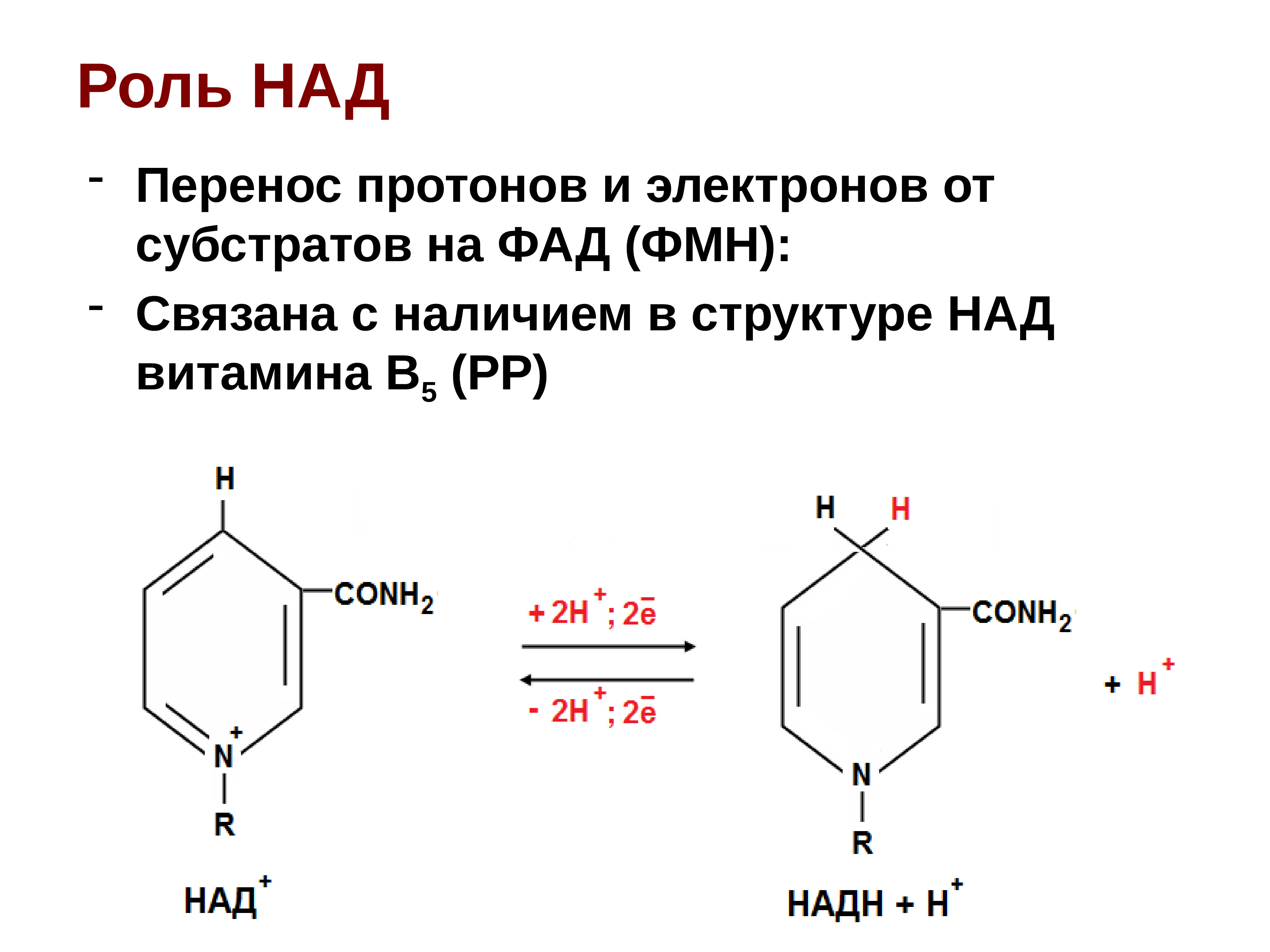 Над