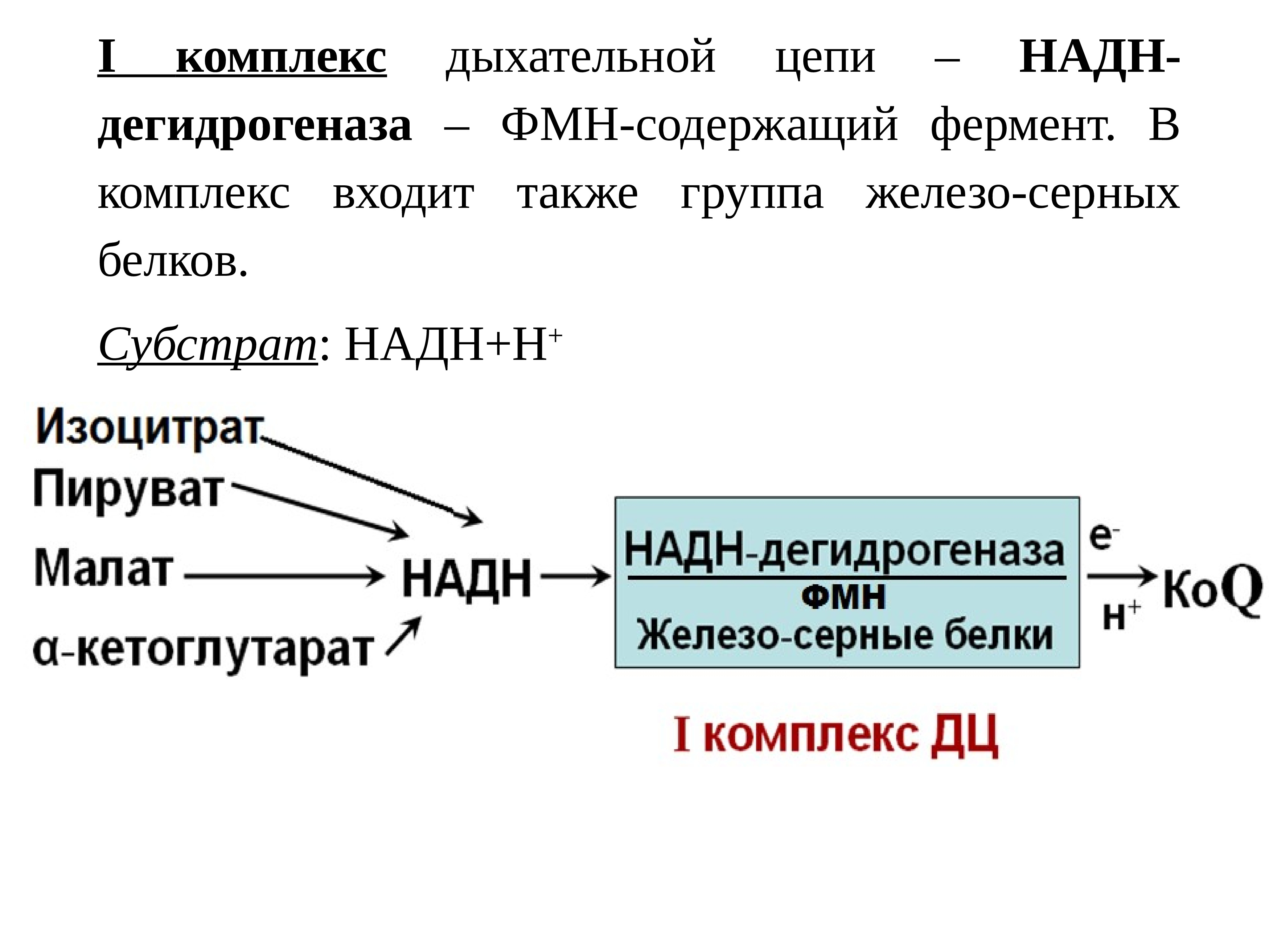 Ферменты содержащие железо. НАДН дегидрогеназа. NADH дегидрогеназа. Комплекса i дыхательной цепи (НАДН-дегидрогеназа),. NADH дегидрогеназа комплекс 1.