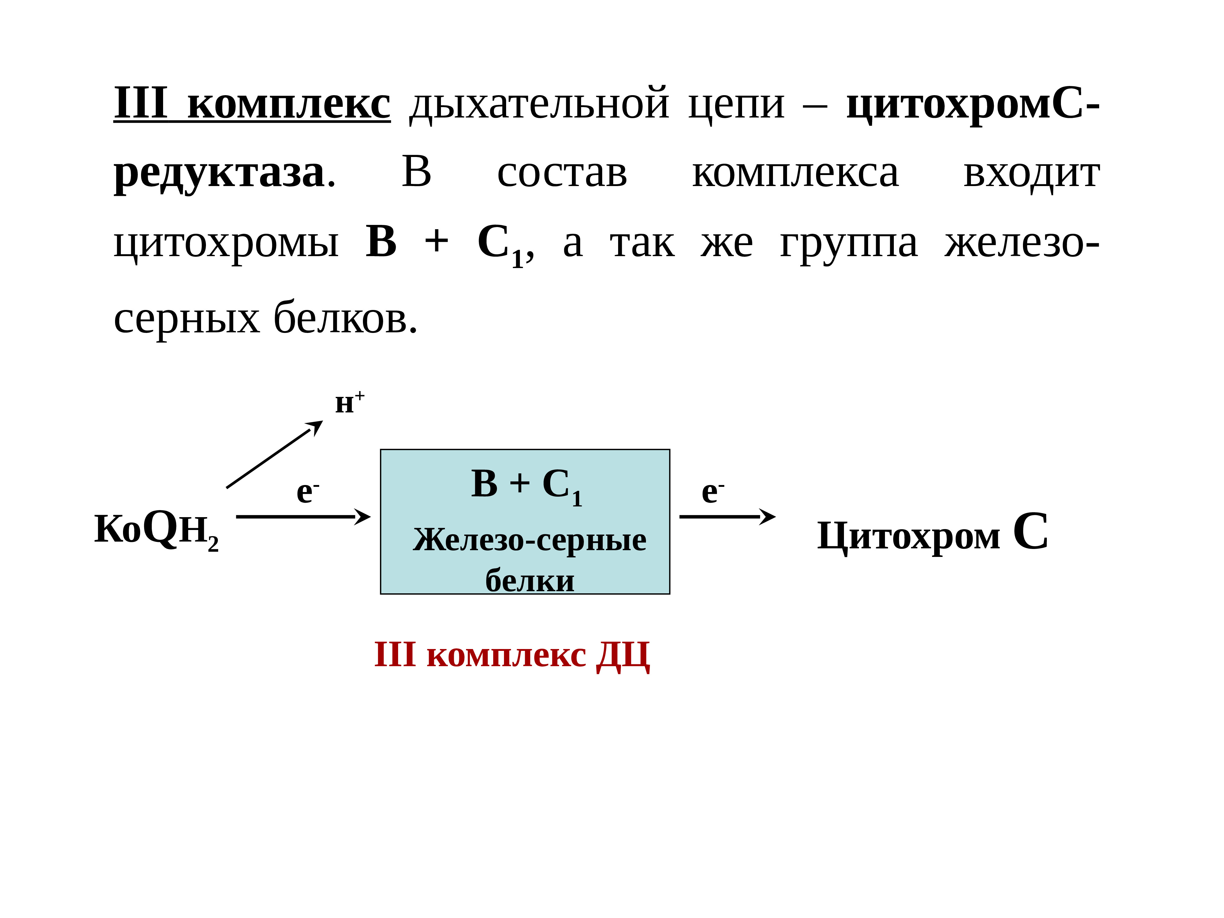 Входят в состав цепей. Комплексы образующие дыхательную цепь. Дыхательная цепь биохимия реакции. Характеристика комплексов дыхательной цепи. Полная и укороченная дыхательная цепь.