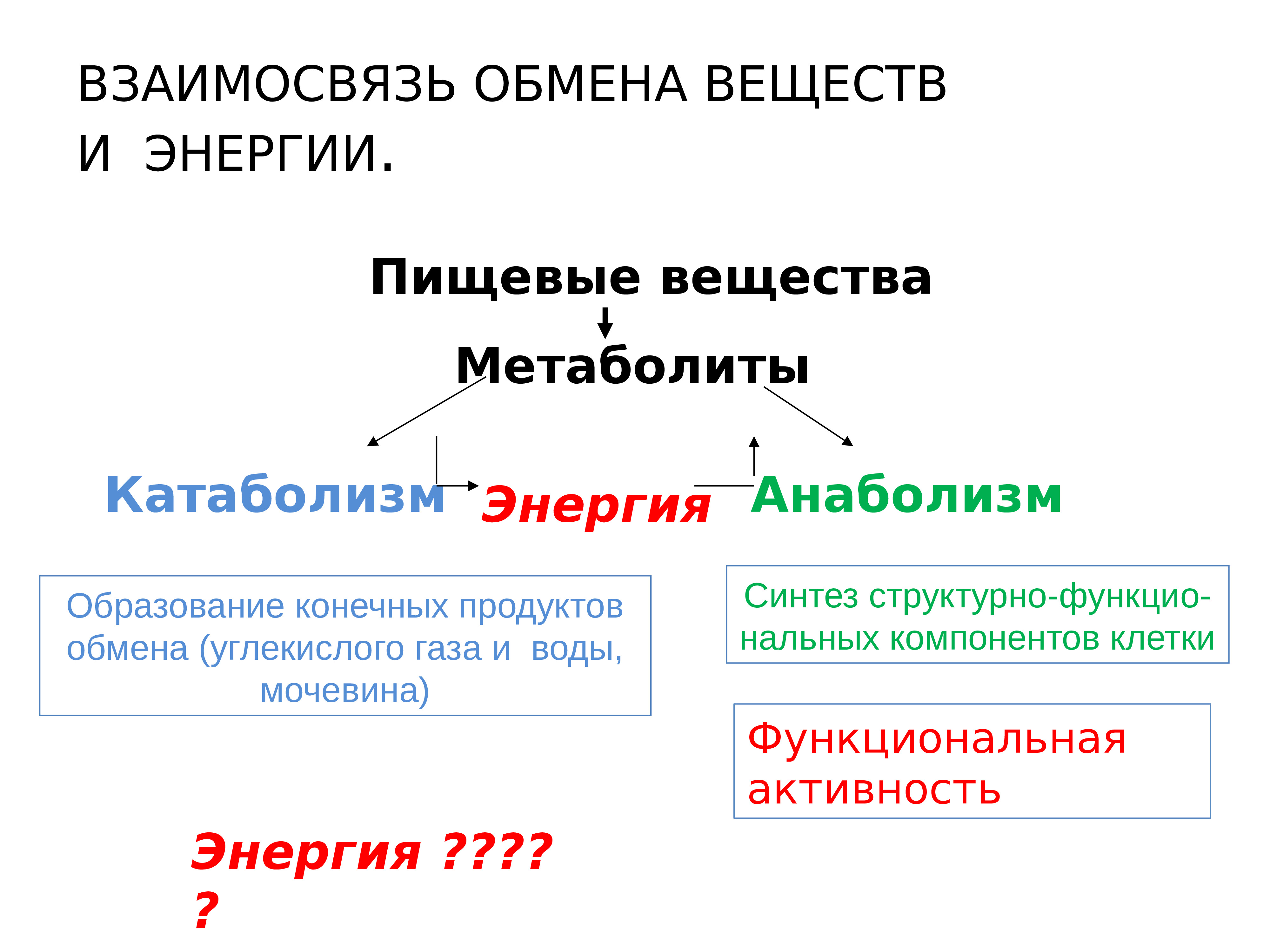 Взаимосвязь обмена веществ в организме