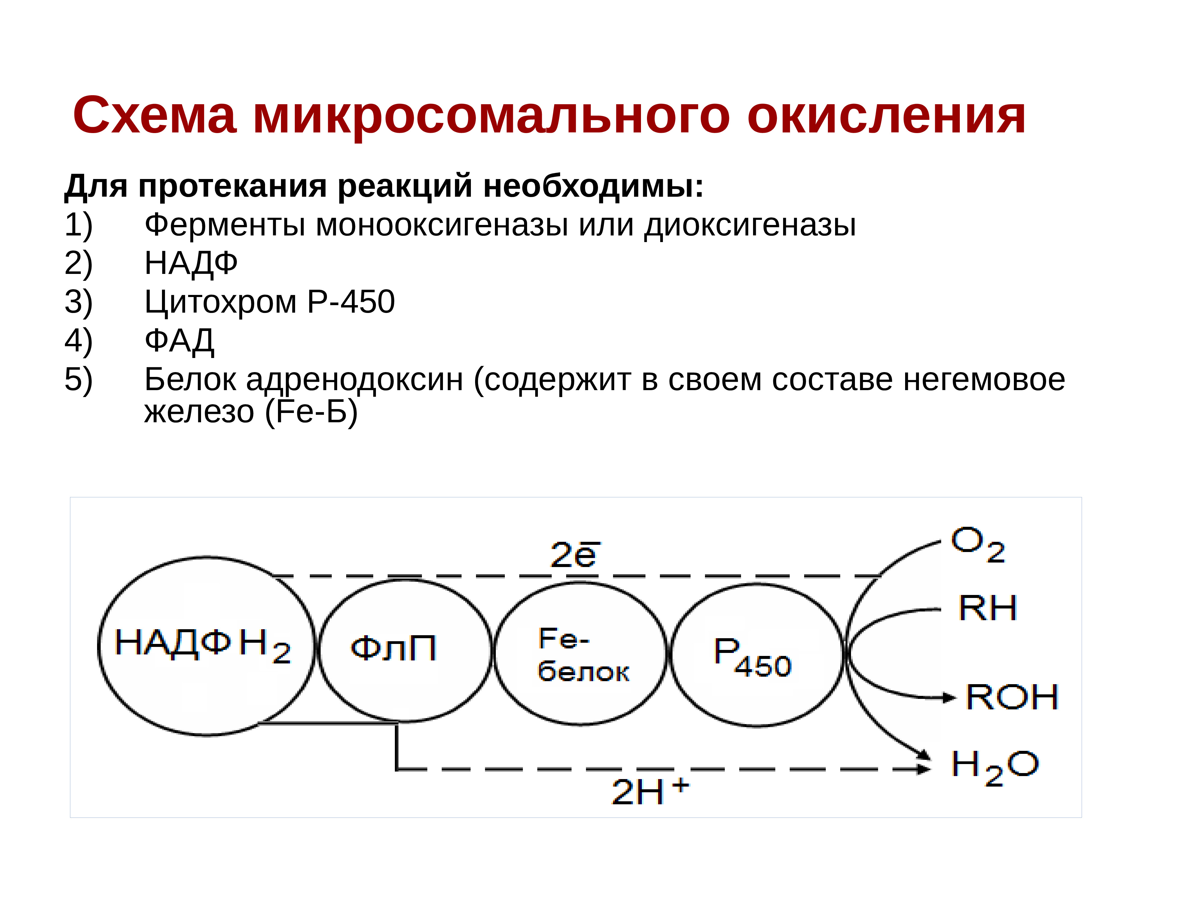 Строение цепи. Активаторы дыхательной цепи. Негемовое железо дыхательная цепь. Функции дыхательной цепи. Цепь окислительного фосфорилирования.