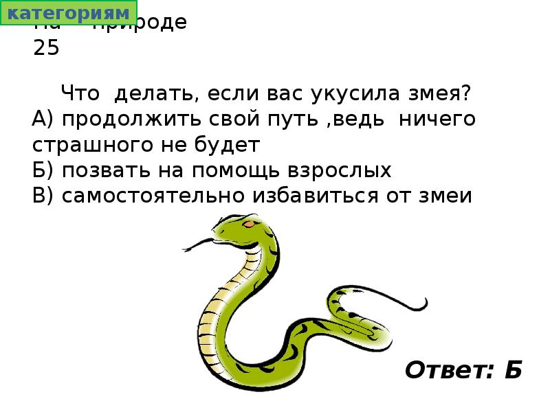 А ты змея пустила. Как избежать укуса змеи. Что делать если вас укусила змея. Что будет если укусит змея.