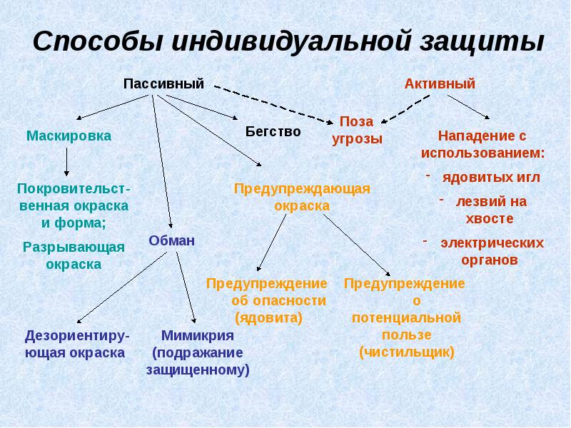 Надкласс рыбы презентация