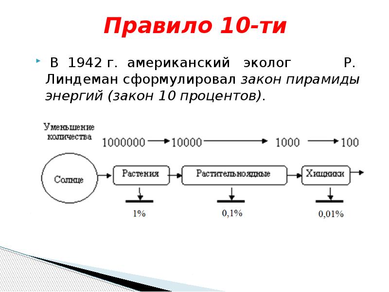 Закон линдемана. Правило 10 Линдемана. Закон Линдемана правило 10 процентов. Правило 10 процентов экология. Правило р. Линдемана.