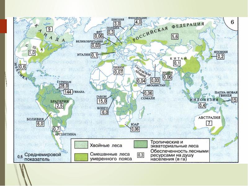 География 10 класс презентация лесные ресурсы мира