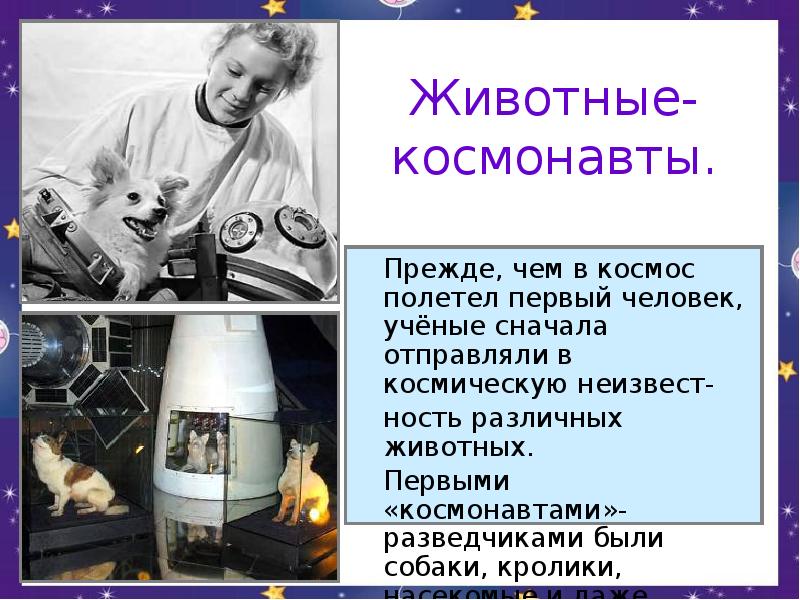 Какая конфета побывала в космосе. Животные космонавты прежде чем полетел первый человек. Последние слова Людмилы в космосе.