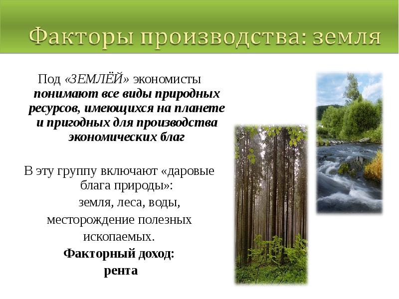 Лимитирующий фактор леса. Чем ограничен фактор производства земля. Чем ограничена земля как фактор производства. Земля фактор производства. Чем ограничено фактор земля.