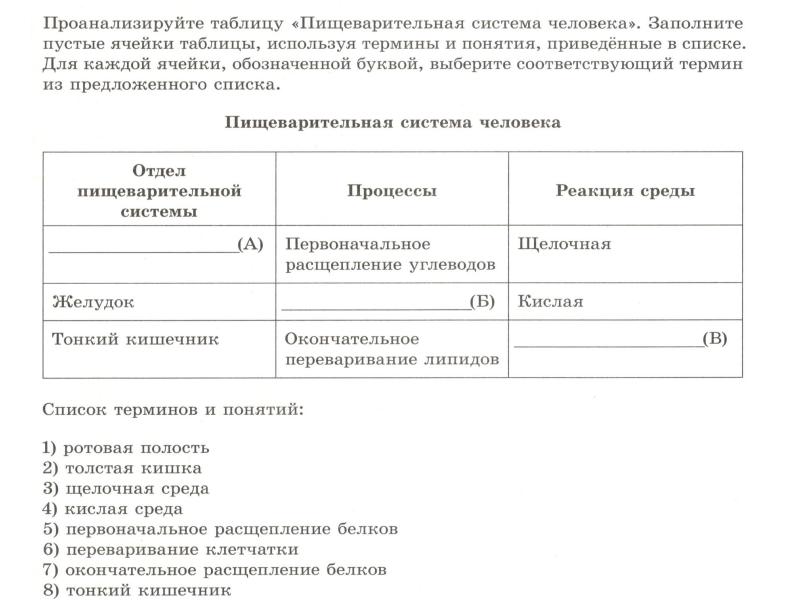 Заполните пустые ячейки на схеме выбрав слова и или словосочетания из приведенного списка