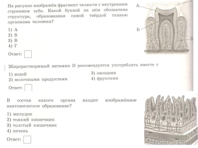 На рисунке изображен фрагмент