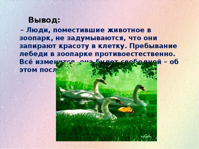 Эпитеты в рассказе лебеди. Н.А.Заболоцкий лебедь в зоопарке. Стихотворения Николая Заболоцкого «лебедь в зоопарке». Стихотворение лебедь в зоопарке. Стих лебедь в зоопарке Заболоцкий.