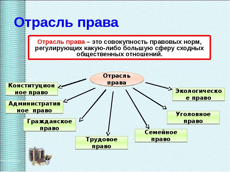 Процессуальные отрасли права план конспект