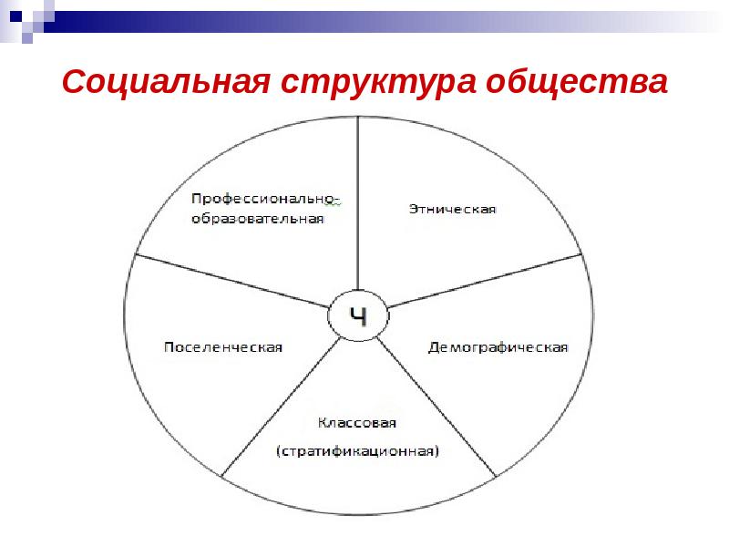 Социальные структуры общества план