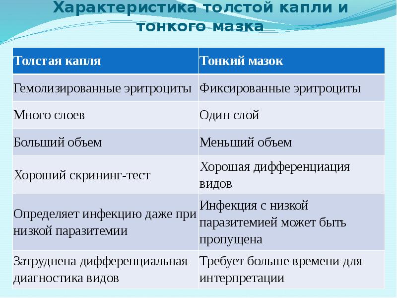 Характеристика толстой капли и тонкого мазка