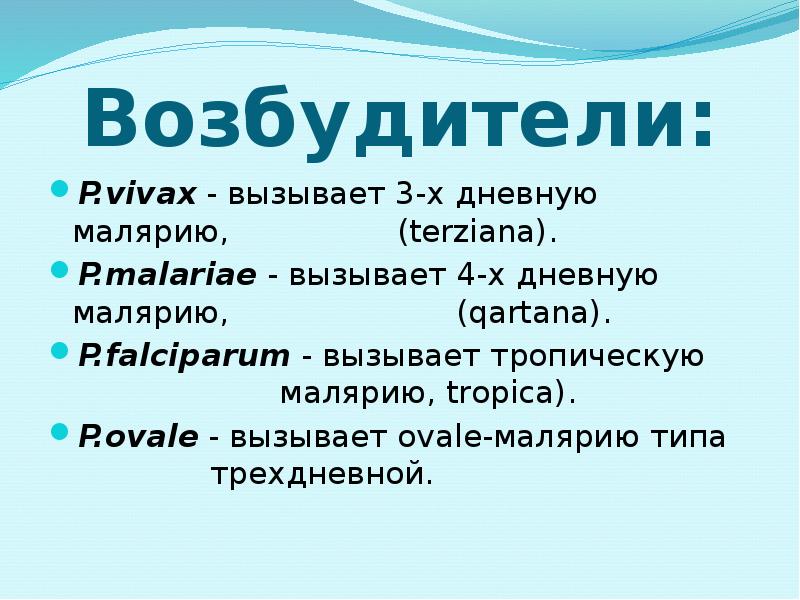 Возбудители: P.vivax - вызывает 3-х дневную малярию,    