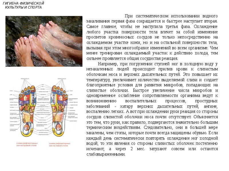 Гигиена физической культуры и спорта презентация