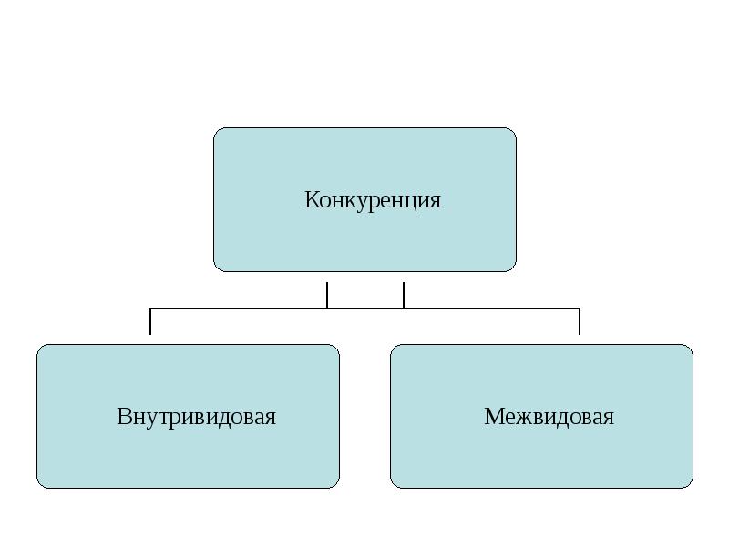 Типы взаимодействий популяций разных видов презентация 9 класс