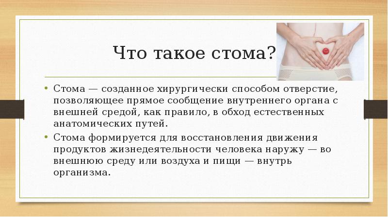 Почему стома. Презентация на тему Стома.