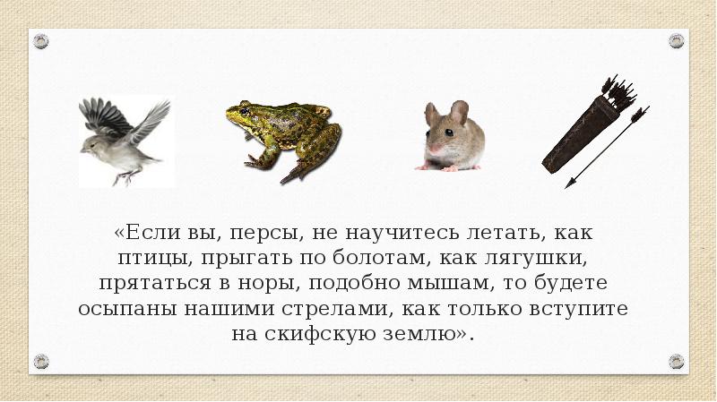 «Если вы, персы, не научитесь летать, как птицы, прыгать по болотам, «Если вы, персы, не научитесь летать, как птицы, прыгать по болотам,