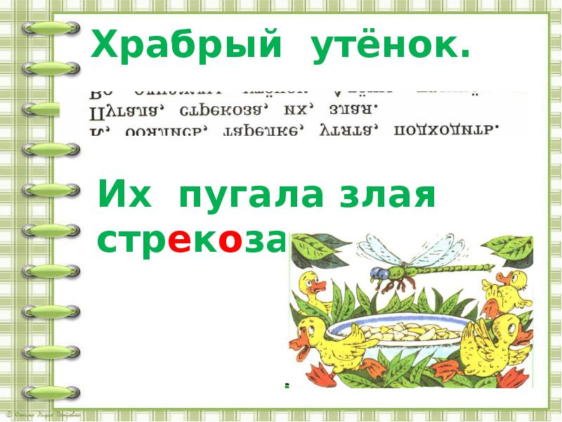 Храбрый утенок 2 класс презентация. Храбрый утенок текст. Храбрый утенок презентация. Храбрый утенок русский язык 2 класс.