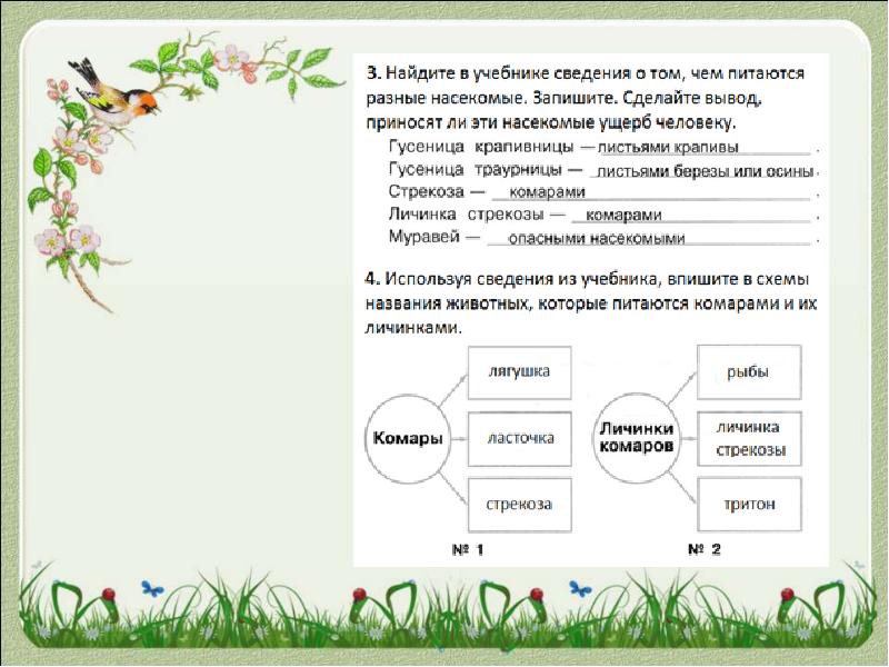 Весна в мире насекомых 2 класс презентация