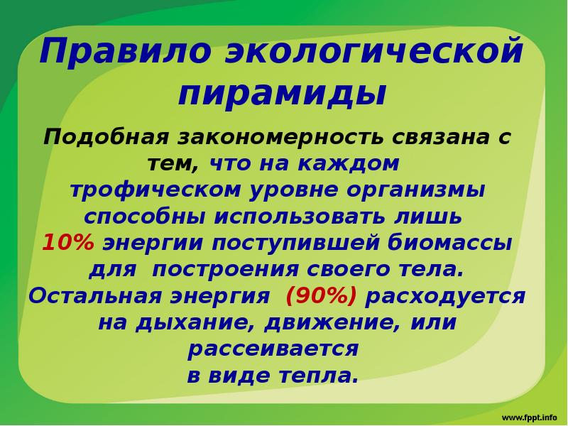 3 правила экологической морали. Три главных правила экологической морали. Правило экологической пирамиды это в биологии. 10 экологических правил. Проект на тему экологическая безопасность.