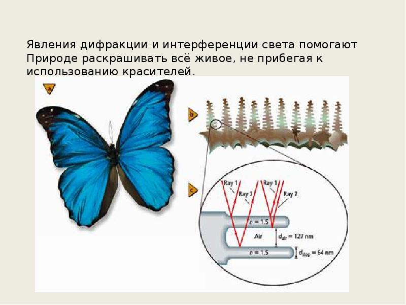 Дифракция света презентация 9 класс