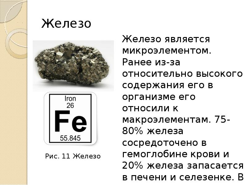 Биологическая роль металлов в организме человека презентация