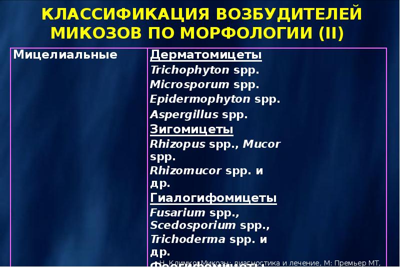 Противогрибковые препараты презентация клиническая фармакология