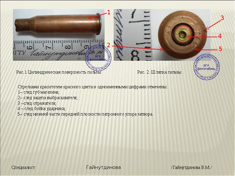 Протокол осмотра рукописного документа образец криминалистика