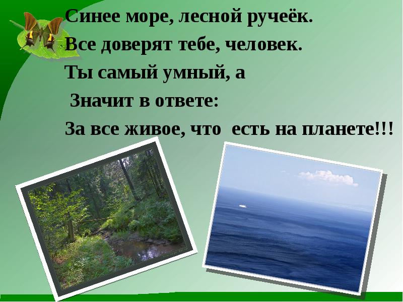 Читать лесное море. 13 Сказок лесов и морей. Рассказ о море о лесу. Голубые синие небо и ручьи в синих лужах.