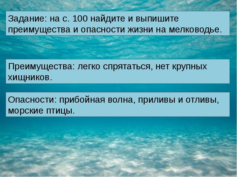 Презентация на тему жизнь организмов в морях и океанах