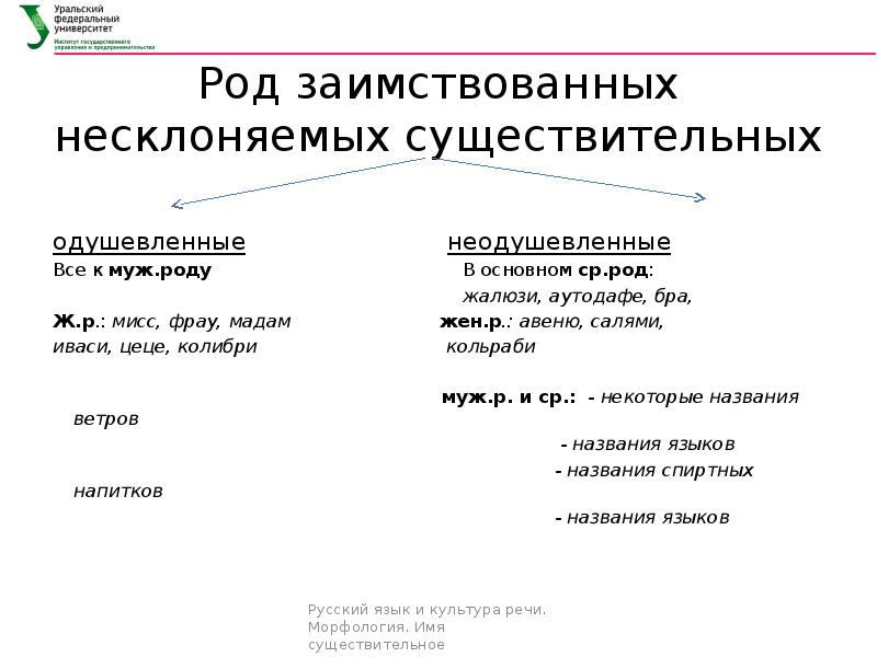 Колибри род существительного словосочетание с прилагательным