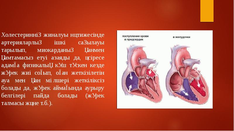 Жүрек физиологиясы презентация