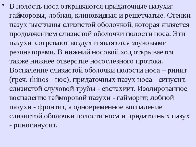 Согревание воздуха в дыхательных путях происходит благодаря тому что их стенки