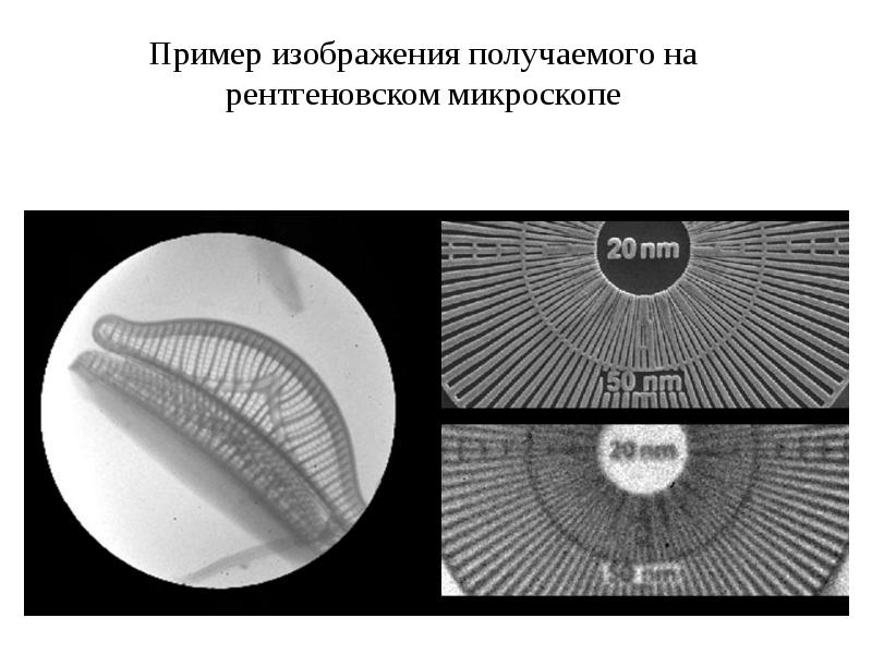 Как получается изображение в микроскопе