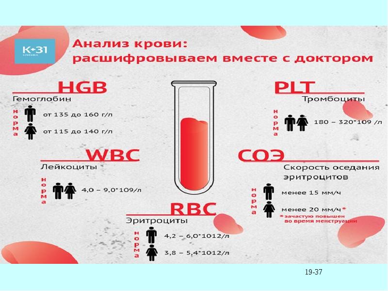 Методы исследования крови человека. Исследование крови - это физиология. Кровь гемокультуру для исследования крови. Объем жидкой части крови