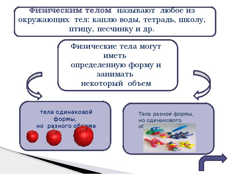 Что называют организмом. Физическое тело имеет. Физическая форма тела. Физические тела одинаковой формы но разного объема. Физические тела из воды.