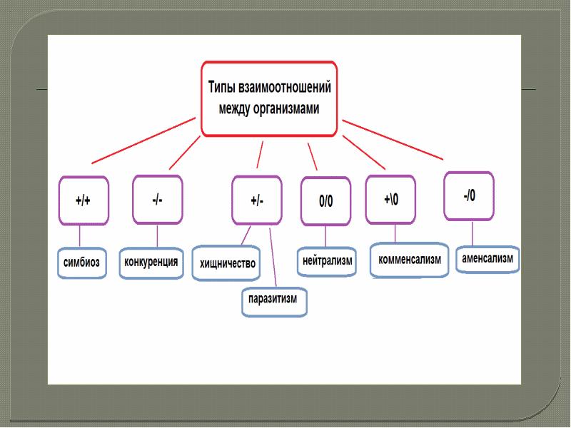 Типы взаимоотношений организмов презентация