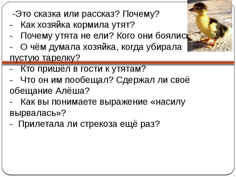 Ребята утята 2 класс литературное чтение. План рассказа Храбрый утенок. Как хозяйка кормила утят?. Храбрый утёнок 2 класс презентация литературное чтение. Литературное чтение 2 класс Храбрый утенок.