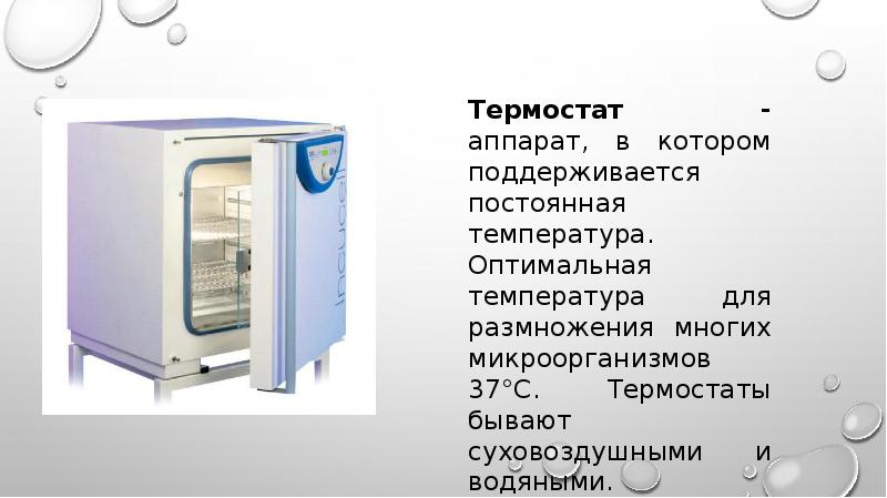 Презентация на тему микробиологическая лаборатория