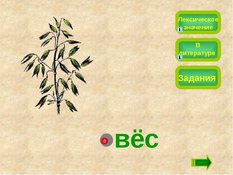 Лексическое значение задания. Овес лексическое значение. Словарное слово овес. Лексическое значение слова овес. Лексическое слово овёс.