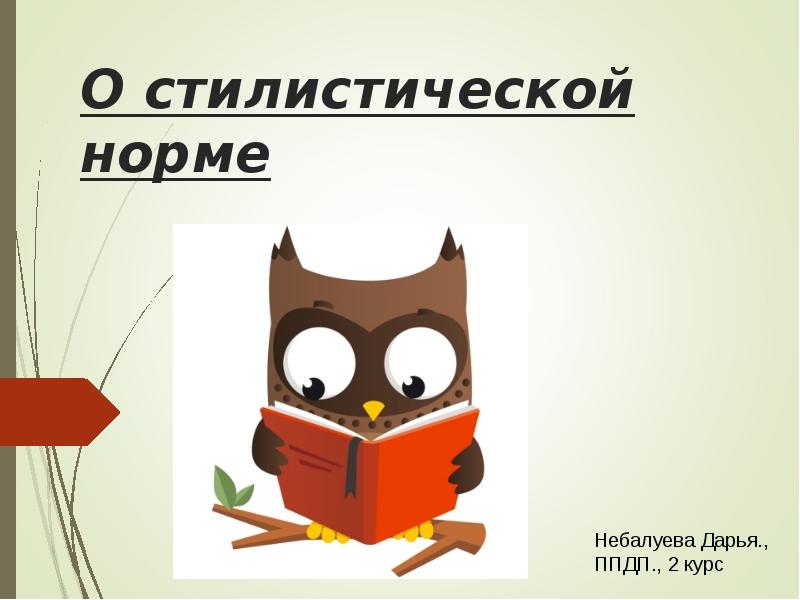 Норма стилю. Стилистическая норма презентации. Стилистические нормы картинки. Стилистические нормы рисунки. Стилистические варианты норм (книжный) вариант.